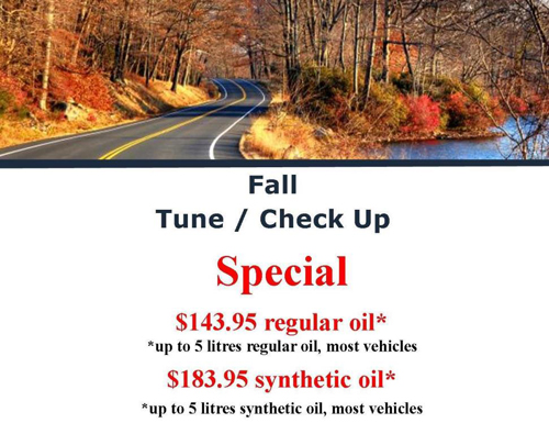 Fall Winter Check Up Special
